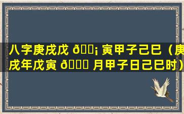 八字庚戌戊 🐡 寅甲子己巳（庚戌年戊寅 🐈 月甲子日己巳时）